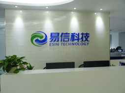 国际域名注册与解析 一站式互联网域名服务指南