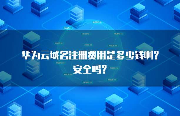 域名注册费用与安全性探析 互联网域名注册服务全指南
